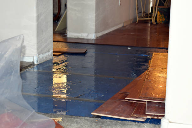 Professional Burst Pipe Cleanup technician working in Summerland Key, FL